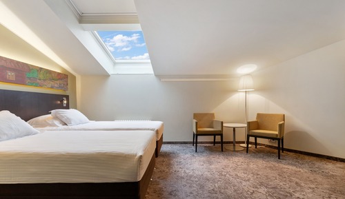 Habitación Confort (Skylight)