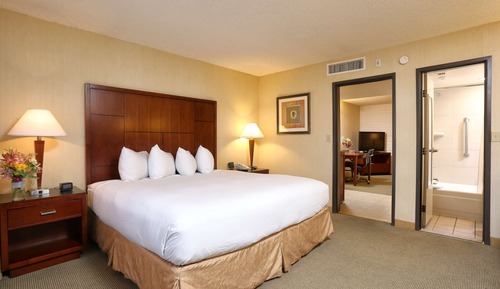 Suite Deluxe, 1 cama de matrimonio grande