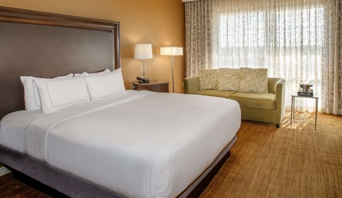 Habitación estándar, 1 cama de matrimonio grande