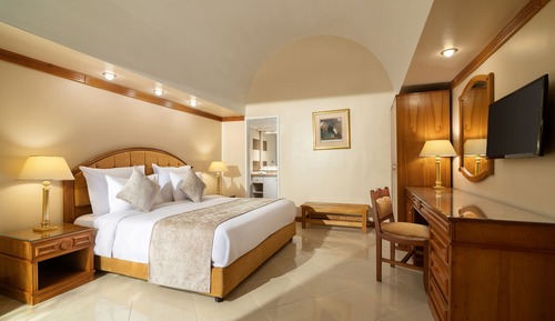 Suite ejecutiva, vistas al jardín