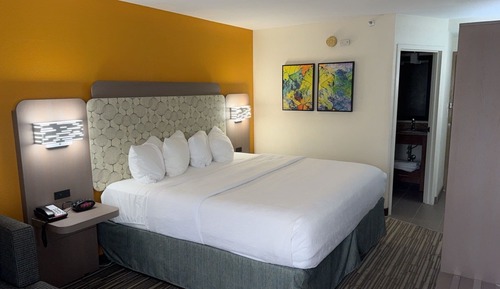 Habitación, 1 cama de matrimonio grande, accesible para personas con discapacidad, no fumadores