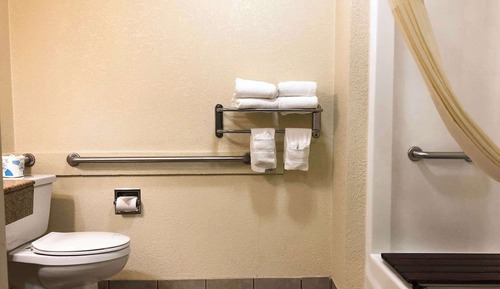 Habitación Business, 1 cama de matrimonio, accesible para personas con discapacidad, no fumadores