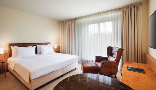 Habitación Deluxe, 1 cama de matrimonio