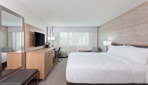 Habitación estándar, 1 cama de matrimonio grande