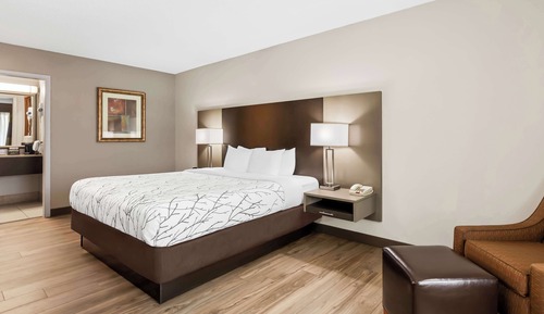 Habitación estándar, 1 cama de matrimonio grande, no fumadores, frigorífico y microondas