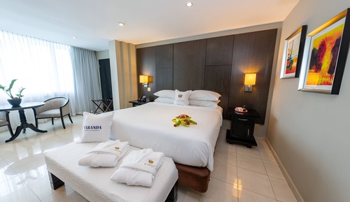 Habitación Premium, 1 cama de matrimonio grande, no fumadores, vistas a la ciudad