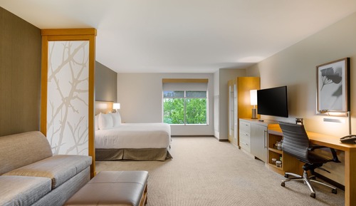 Habitación, 1 cama de matrimonio grande con sofá cama, accesible para personas con discapacidad