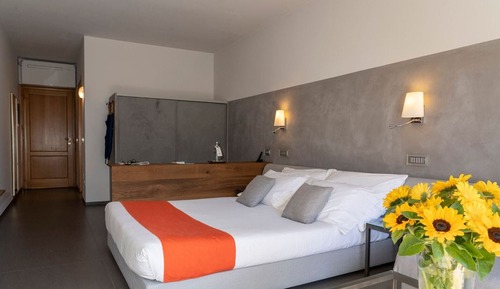Suite junior, vistas parciales al lago