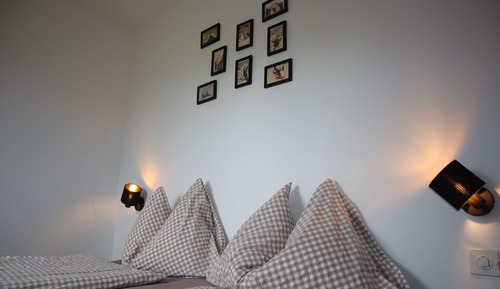 Habitación individual Confort
