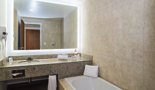 Suite, 1 cama de matrimonio grande (Bath and Walk-In Shower)