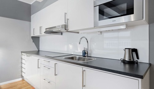 Estudio estándar, 1 cama doble, no fumadores, cocina básica (with Sofabed)