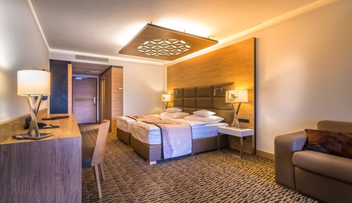 Habitación ejecutiva con 1 cama doble o 2 individuales