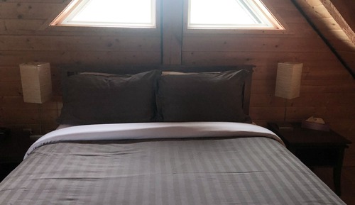 Suite, 1 Queen Bed with Sofa bed (Wild Pacific 1) - Adults Only. No Pets.