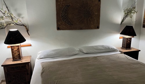 Habitación estándar, 1 cama de matrimonio grande, frigorífico y microondas, vistas al patio