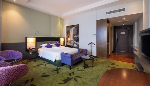 Habitación, 1 cama de matrimonio (Privilege)