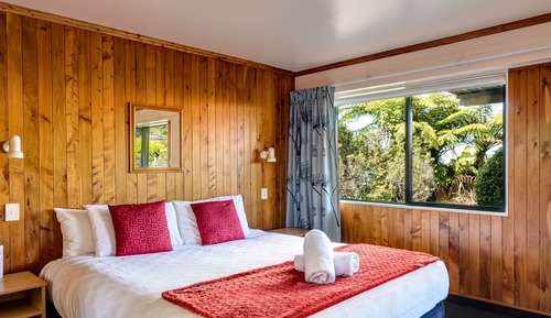 Estudio básico, 1 cama de matrimonio grande, vistas al jardín