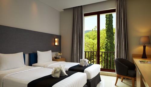 Habitación Deluxe (Deluxe Twin Room)