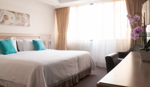 Habitación estándar, 1 cama de matrimonio grande