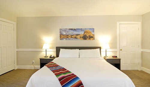 Habitación estándar, 1 cama de matrimonio grande, no fumadores, frigorífico