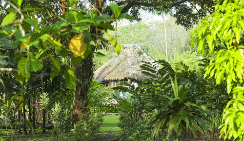 Bungalow Deluxe, en la zona del jardín