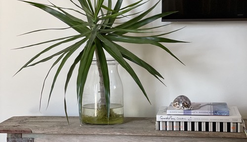 Apartamento (Studio (Non-Waterfront)