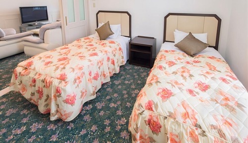Habitación estándar con 2 camas individuales, fumadores