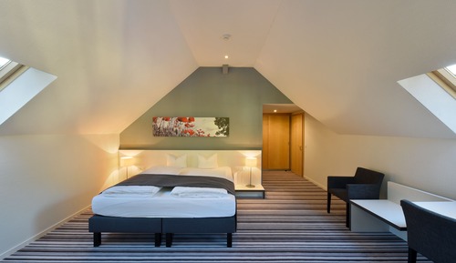 Suite Premium, vistas parciales al lago