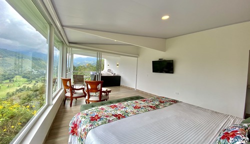Habitación panorámica doble