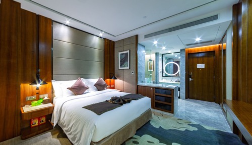 Habitación ejecutiva, 1 cama de matrimonio grande, sin ventanas