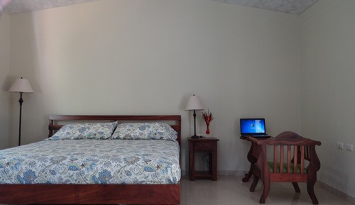 Habitación doble, vistas al jardín