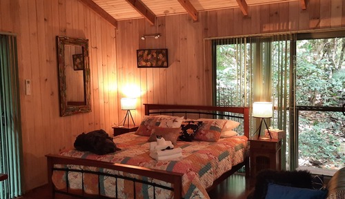 Casa en un árbol