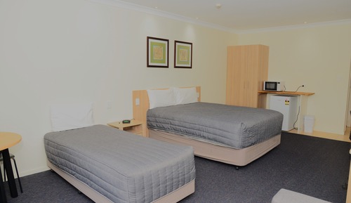 Habitación Premier con 2 camas individuales