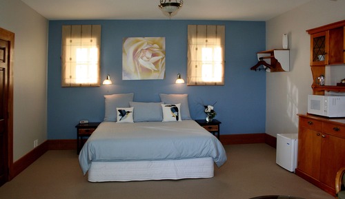 Estudio estándar, no fumadores, cocina básica (Kingfisher Suite)