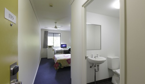 Suite estudio básica
