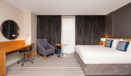 Habitación estándar, 1 cama de matrimonio grande