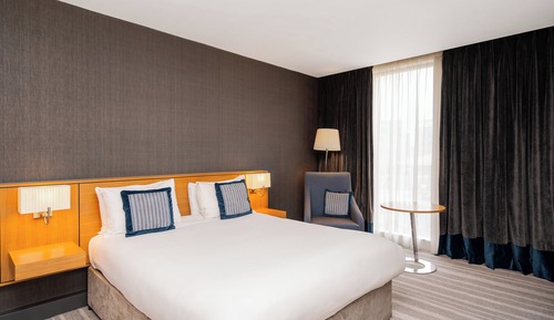 Habitación estándar, 1 cama de matrimonio (Double Rain Shower)