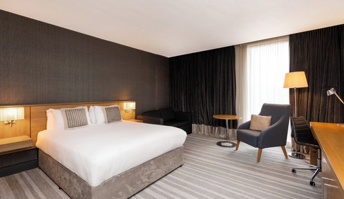 Habitación estándar, 1 cama de matrimonio grande con sofá cama
