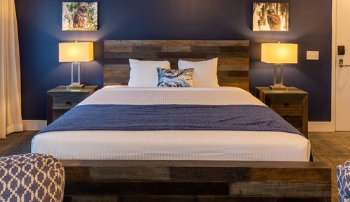 Habitación individual ejecutiva, 1 cama de matrimonio grande