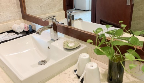 Habitación Deluxe con 2 camas individuales