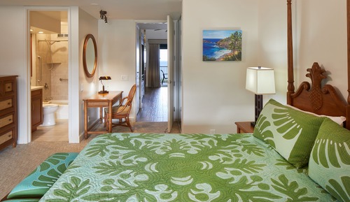 Apartamento Premium, 1 habitación, cocina, vistas al jardín