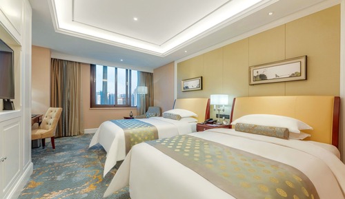 Habitación Business con 2 camas individuales (business twin room)