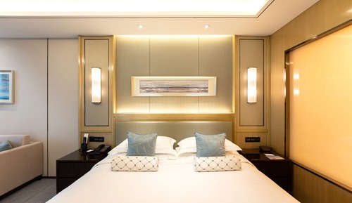 Habitación individual Deluxe (deluxe room)