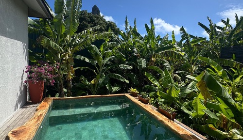 Villa, vistas al jardín (Villa Zoe Dodi)