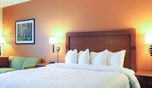 Suite, 1 cama de matrimonio grande con sofá cama, no fumadores (Efficiency)