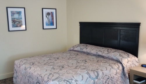 Habitación Confort, 1 cama de matrimonio grande, frigorífico y microondas, vistas al jardín