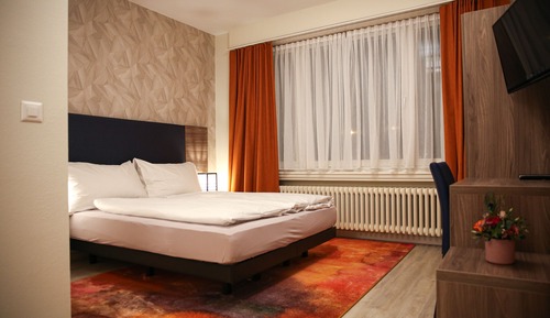 Habitación estándar con 1 cama doble o 2 individuales