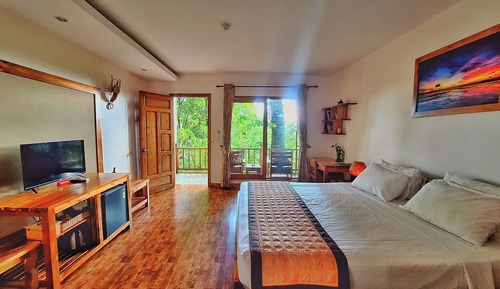 Habitación Deluxe, vistas al jardín