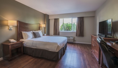 Habitación estándar, 1 cama de matrimonio, cocina básica