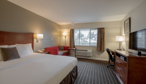 Habitación estándar, 1 cama de matrimonio grande