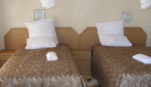 Habitación estándar con 2 camas individuales, vistas al jardín